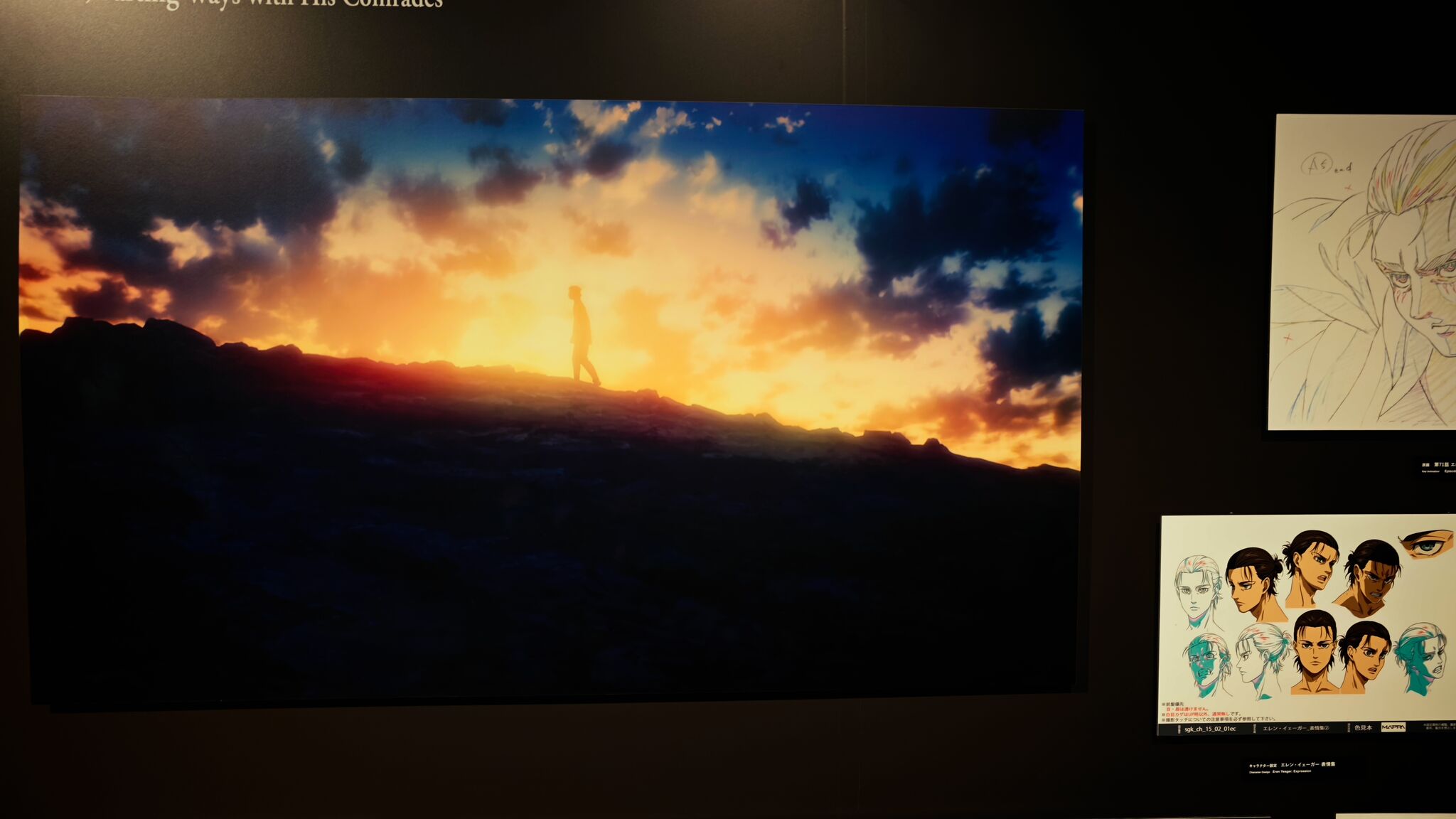 Large image