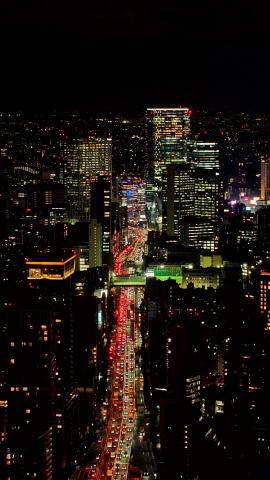 Photograph by Scott Joyce