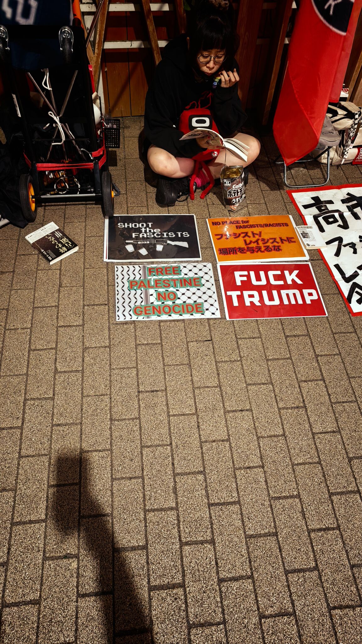 Large image